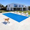 Solar Pool Cover, 10.97 x 4.88m Rectangle Pool Bubble Cover, 12 Mil Pools Solar Blanket with Bubble & PE Material, Daytime Heat Absorption, Nighttime