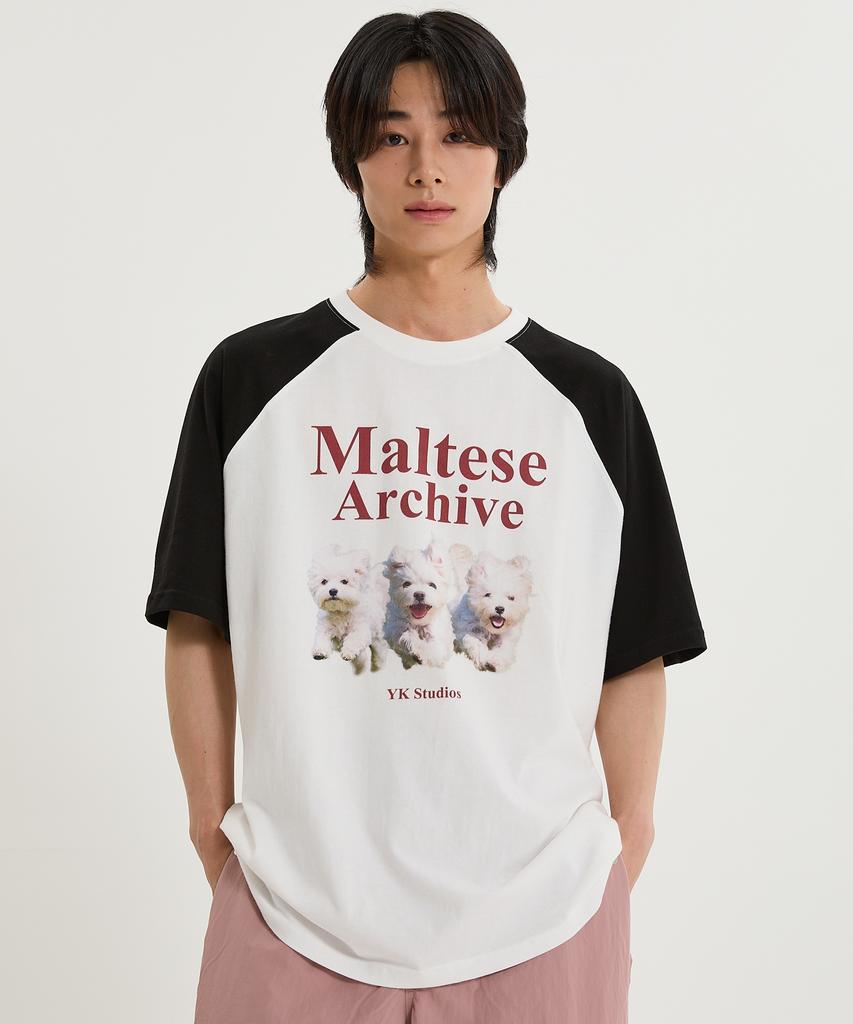 WAIKEI Maltese Archive Raglan Short Sleeve T-Shirt Light Pink