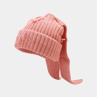Autumn and Winter New Cute Rabbit Ear Knitted Hat JK Style Street Fashion Wool Ear Hat Outdoor Warm Hat