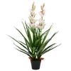 VidaXL Artificial Plant Cymbidium Orchid with Pot 100 Cm Green