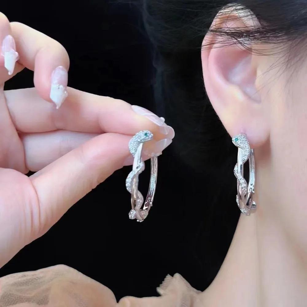 Temperament Personality Shiny Zircon Snake Winding Silver Stainless Steel Hoop Earrings for Women Exquisite Fashion Jewelry Gift