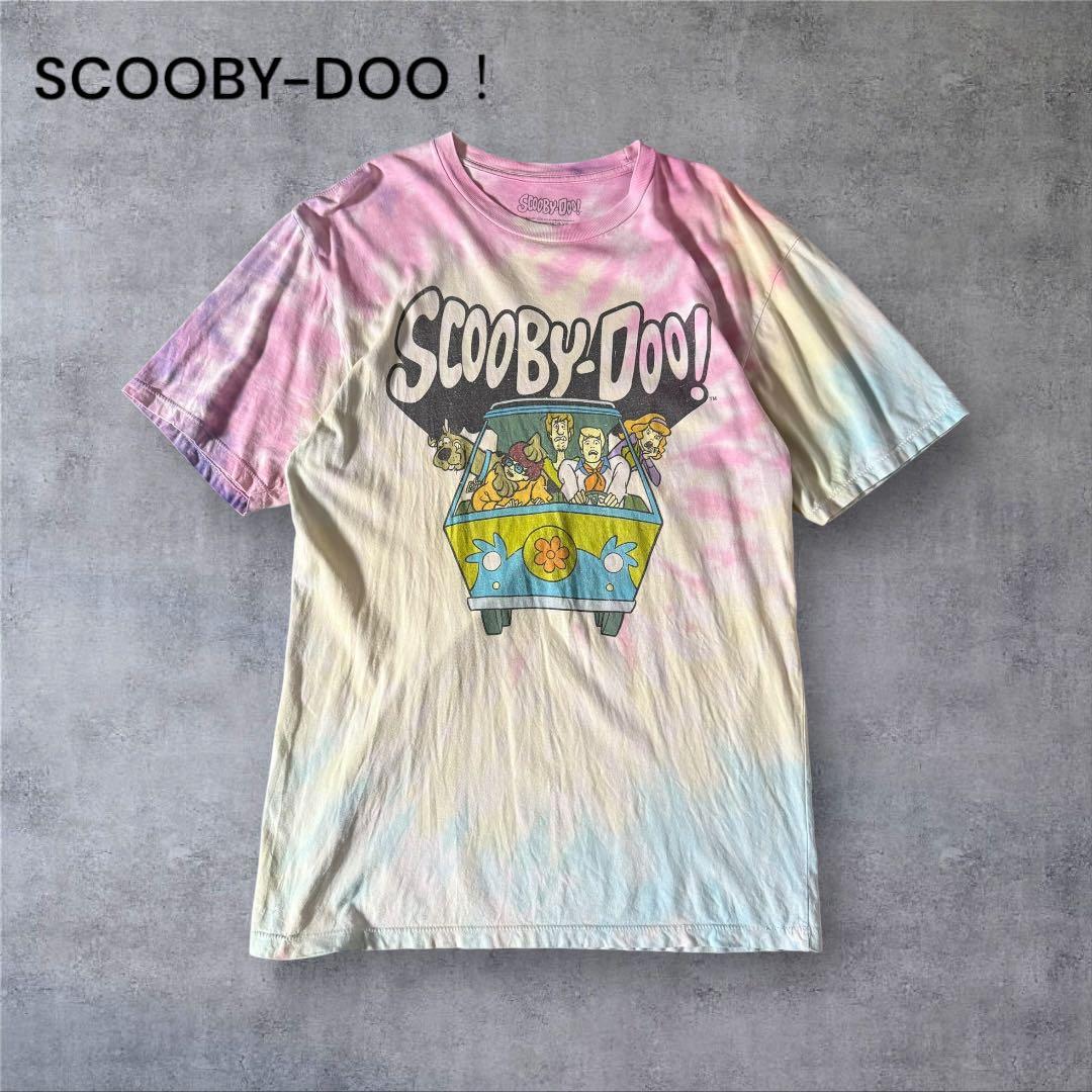 

[USED] ROCK IN JAPAN FES 2019 Print T-shirt, size M