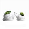 Succulent Ceramic Flower Pot, Gardening Creative Flower Pot With Tray, Korean Office Desktop Potted Ceramic Crafts