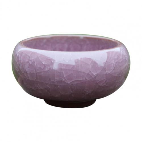 2025 Flower Pot Delicate Practical Ceramic Compact Mini Simple Succulent Plant Planter for Home FlowerPot
