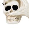 Realistic Bone Texture Figurine Halloween Skull Hand Sculpture, Gothic Skeleton Head Figurine, Spooky Resin Home Tabletop Ornament Decoration