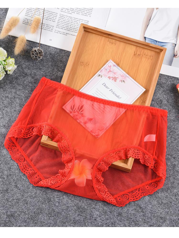 Ropa Interior Femenina  Underwear Women Panties Large Size 3XL Soft Lace Mesh Fully Transparent and Thin Sexy Panties Lingerie