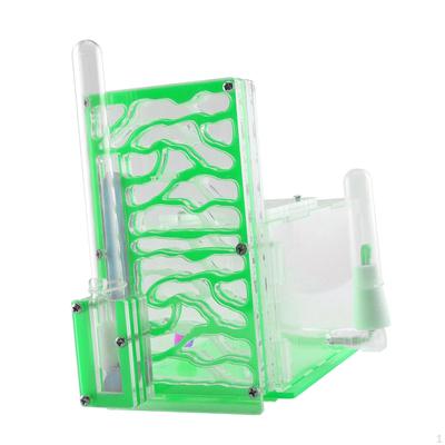 Kompaktní DIY vlhký hnízdní box pro vědecké pozorování Obývací pokoj Domov Kuchyně