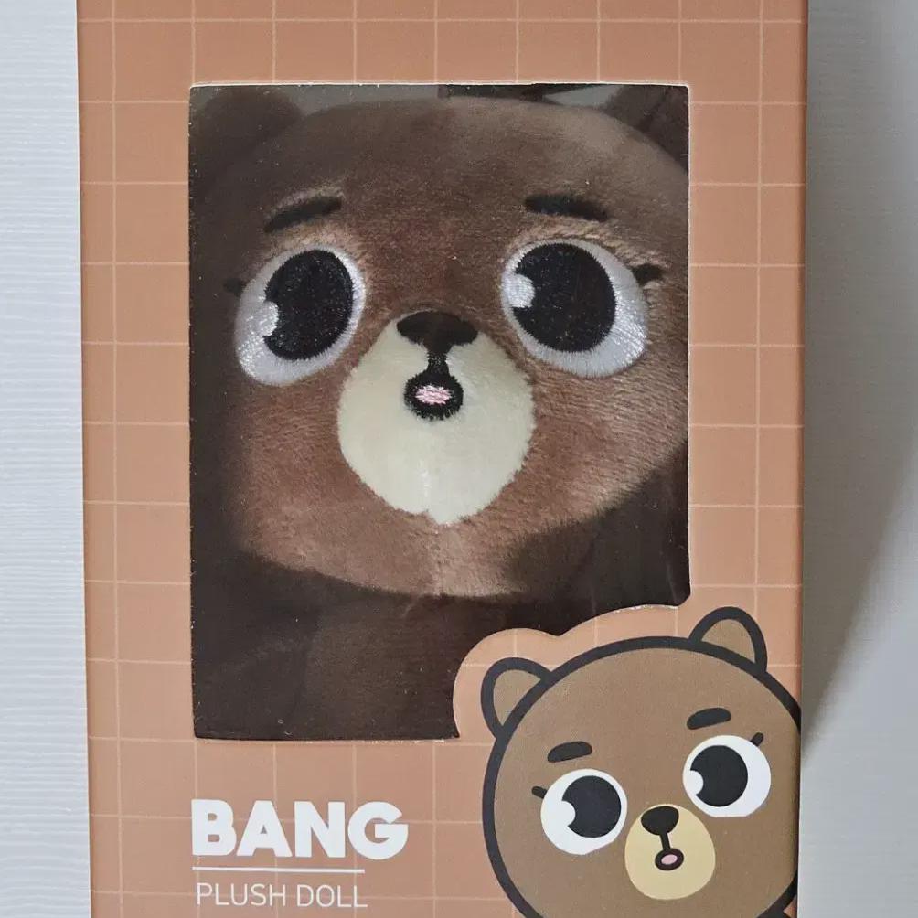 

DAY6 24 Denimals Room Sungjin Нераспечатанный