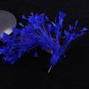 10-12" Natural Rooster Coque Tail Feather Mardi Gras Craft for Carnival Party Masquerade Stage Performances Costume Decoration