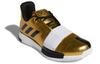Adidas Harden Vol. 3 'Imma Star' Asia Exclusive EE3955