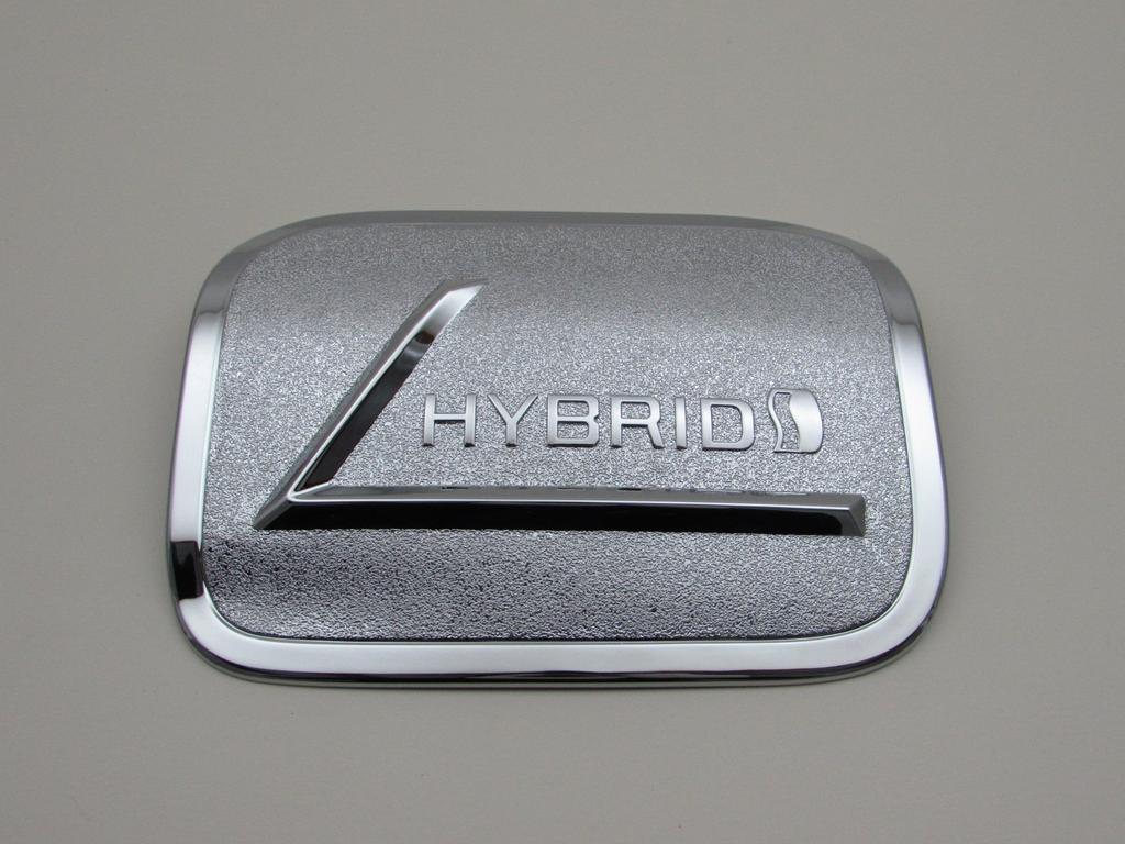BRIGHTZ Camry AXVH70 Chrome Fuel Lid Cover Gas Tank Cover AXVH H70 70 27471 [FUELLID-083]