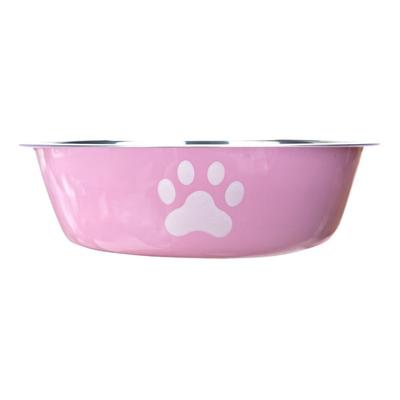 Perros – Proveedores de agua y alimento
