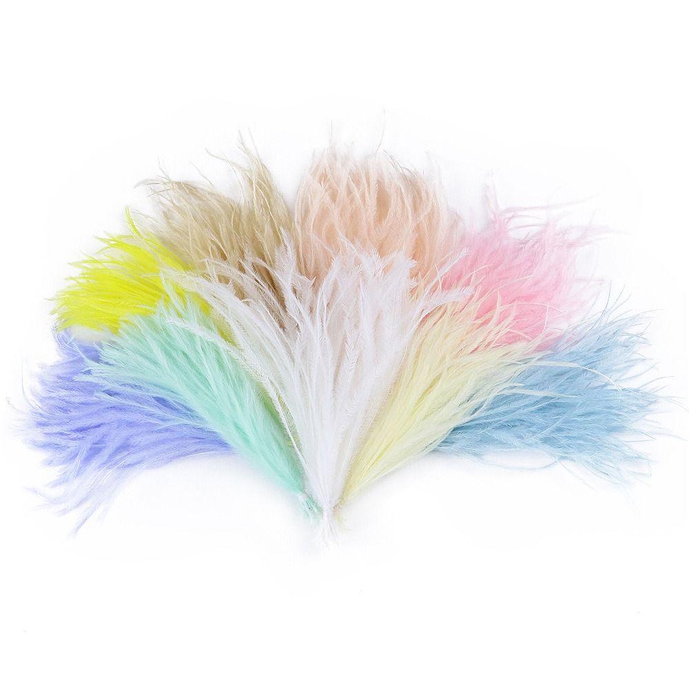 100Pcs Sewing Costuming Ostrich Feathers  for Craft Jewelry Making Accessory