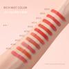 High Pigment Long-Lasting Matte Lipstick Lip Makeup 1.6g*10