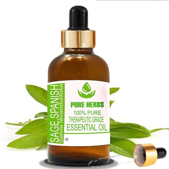 

Pure Herbs Sage,Spanish (Salvia lavandulifolia) Pure & Natural Therapeutic Grade Essential Oil Glass 5 ml