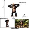 Realistic Animal Heart Model Toy: Lemur, Raccoon, Orangutan, Baboon