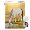 Horse Pearl Kit DIY 5D Rhinestone Art Craft for Adults and Kids Home Party Decoration Handmade Gift