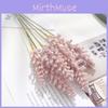 Triticum Aestivum Bouquet Collection Event Decor Artistic Displays Supplies