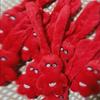 Song Yuqi Solo Red Rabbit Cartoon Plush Pendant Doll