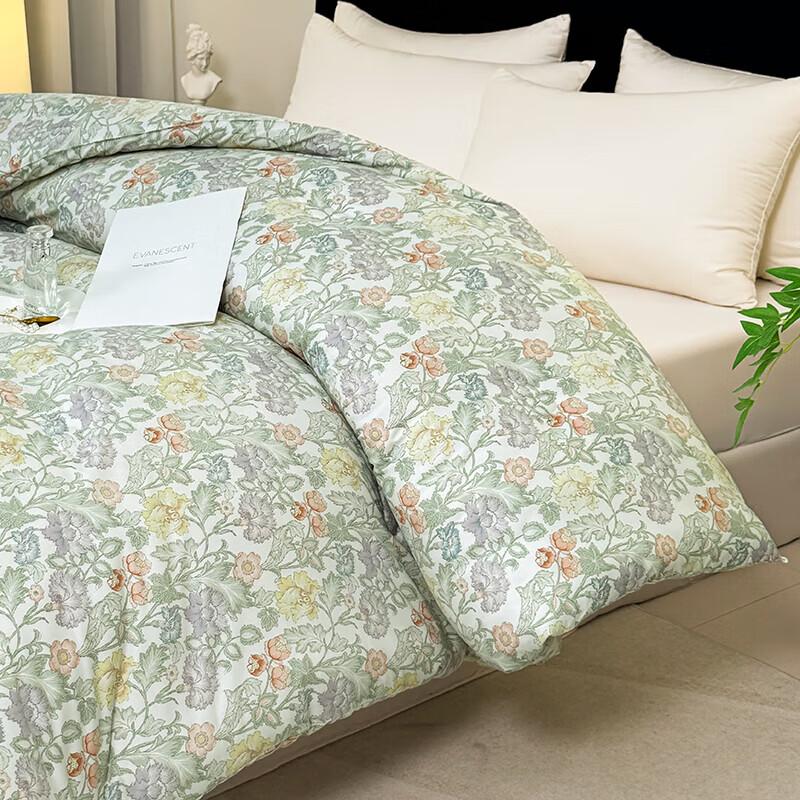 Paul Big Satellite Deep Sleep Comforter