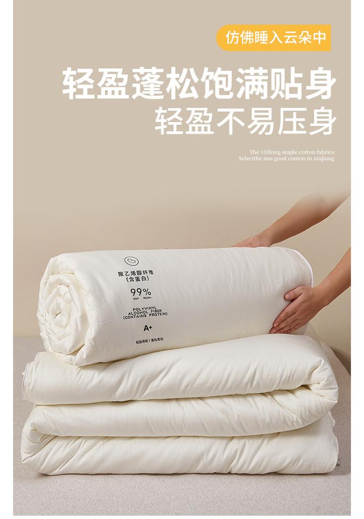 High Count Cotton 99% Soybean All Season Light Luxury 2-in-1 Household Thick Quilt