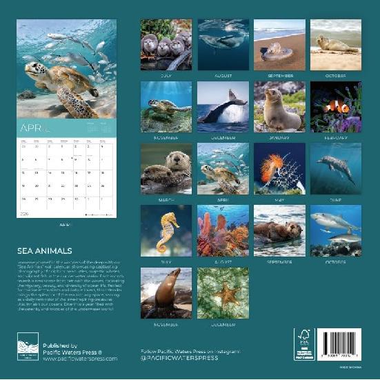 Sea Animals Wall Calendar | Sea Life Calendar | 12" x 24" Open | Giftable Calendar 2026 | Thick & Sturdy Paper for Organizing & Planning | Pacific
