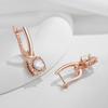 Full Shiny Natural Zircon Dangle Earrings For Women Fashion  Rose Gold Color Gift High Quality Daily Wear Jewelry