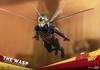 And the Scale Figure Wasp [Movie Masterpiece] "Ant-Man Wasp" 1/6