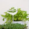 Imitation Glass Plastic Bird Automatic Water Dispenser Lazy Water Dispenser Travel Dripping Machine Lazy Water Dispenser Circula