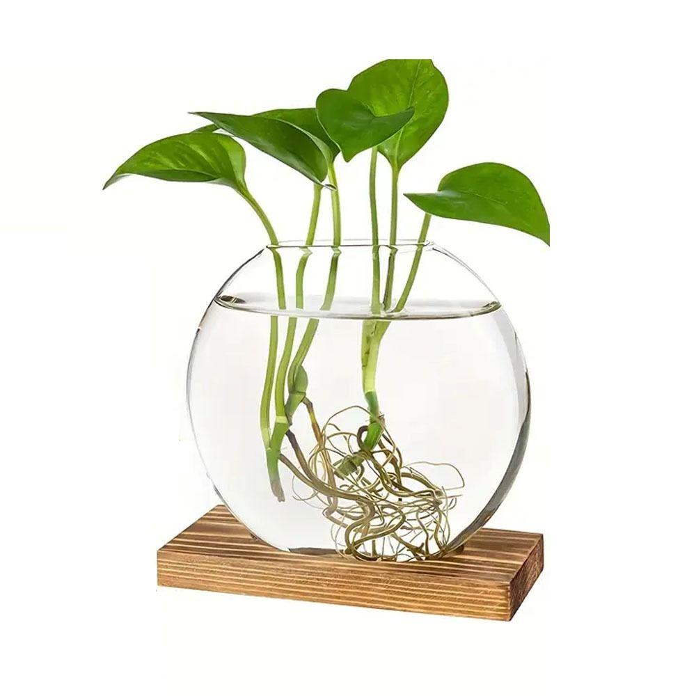 Wooden Stand Hydroponic Plants Container Transparent Glass Plants Glass Vase  Weddings