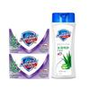 Safeguard Wormwood Herbal Soap & Aloe Vera Shower Gel Set