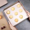 Champagne Square Baking Pan Nonstick Toaster Oven Dishes Cookie Tray Pizza Baking Tray  Home