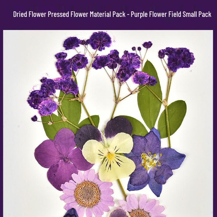 Autumn Dried Flower Bookmark Kit: Transparent Leaf Specimen with Lamination Film Stickers