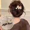 Cute and Adorable Cat-shaped Hair Clip, High-end Back Hair Clip for Women, One-piece Hairpin, Updo Hair Accessory