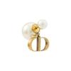 Dior Metal Coated White Resin Earrings Women earrings Gold E1293TRIRS-D908