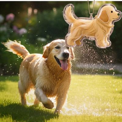 Clear Pet Hair Memorial Keepsakes Pendant Charm Portable Dog Shape Furs Collector Keychain For Key Or Bag Attachments