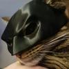 Fledermaus Katze Rächer Maske Schwarz Matt Fledermaus Maske Superheld Haustierspielzeug Katze Fledermaus Haustier Mann Maske für Katze und Hunde Gruseliges Make-up Party Spielzeug
