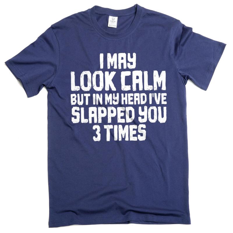 Unisexs Funny Look Calm But Slapped You 3 Times Tshirt Humorous Novelty Tees