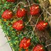 LED Strawberry String Lights for Christmas & Children's Room Decoration