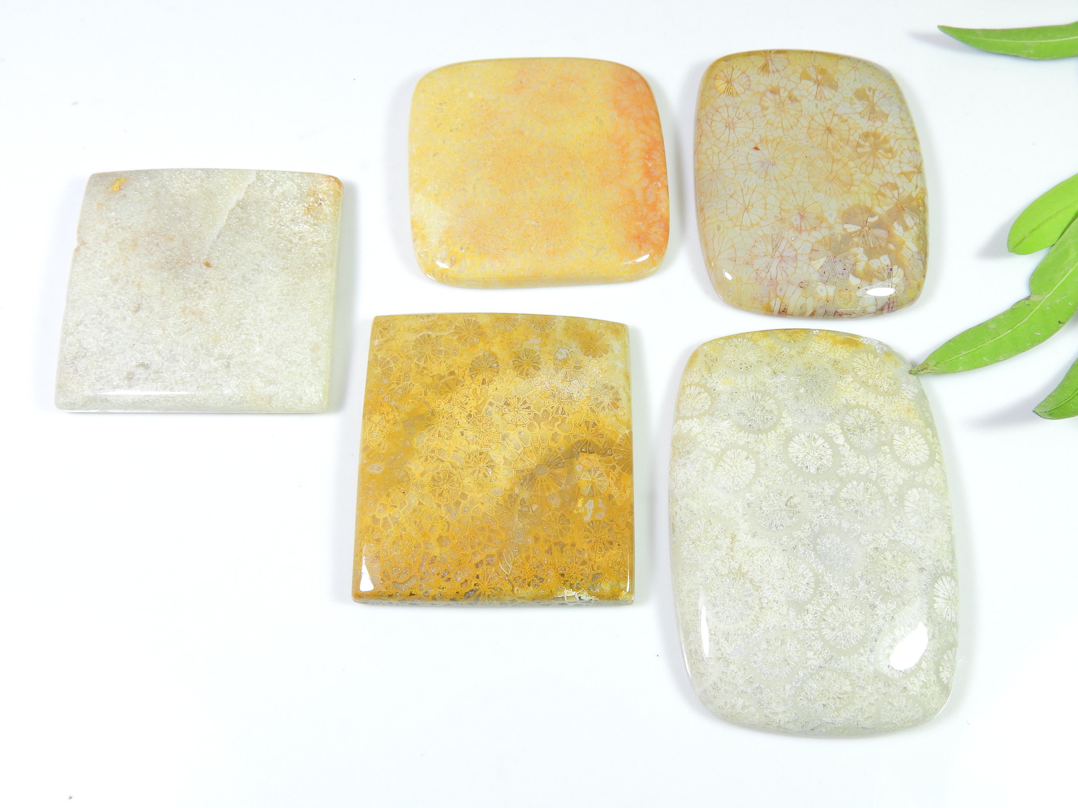 

336Cts Natural Fossil Coral Octagon Cabochon Loose Gemstone 5Pcs Lot 31-47MM RQ-1255