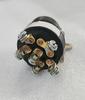 Ignition Switch 4360469 With 2 Keys for JLG 400S 600A 600S 2030ES