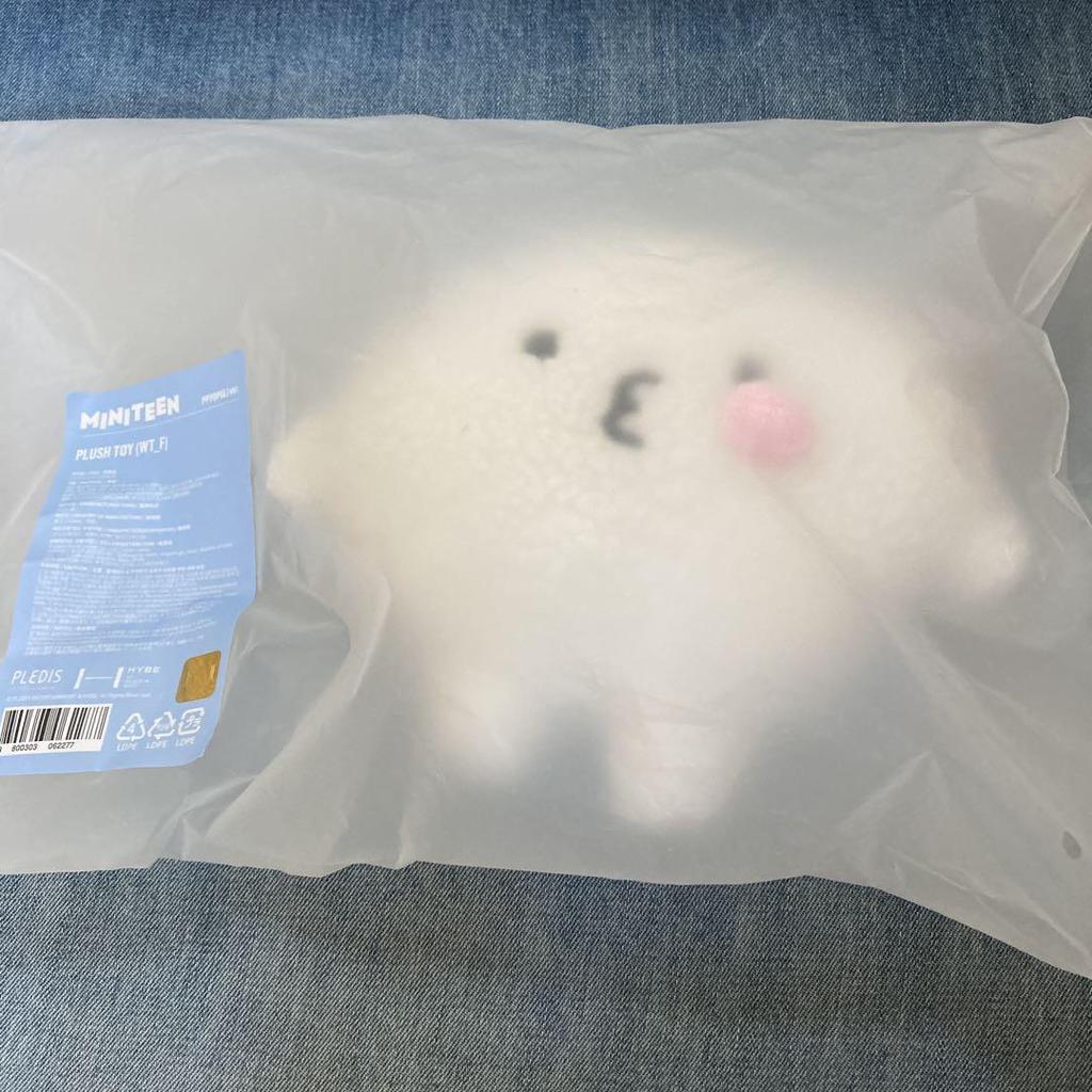 [USED] Woozi MINITEEN Pop-up Plush Toy Seventeen