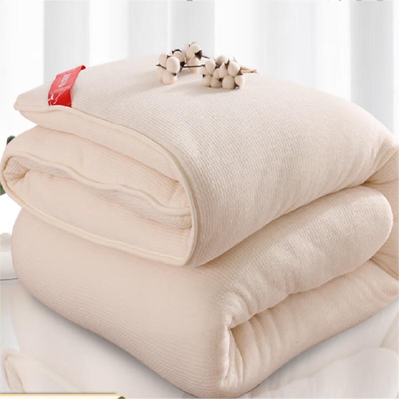 

LUOLAI Cotton Quilt with Fish Scale Net Yarn