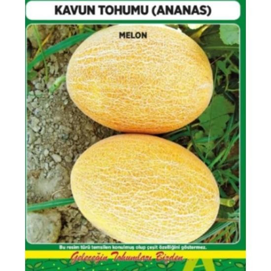 

250 семян ананасовой дыни