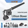 Nanwei Cordless Lithium Blower Kit CN plug (adapter included)