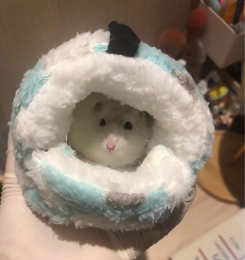 moin moin Hamster, Bird, Squirrel, Small Animal House, Heart-Shaped Bed | Fluffy and Warm Winter Bed with Insole, Hanging, 2-Way Use / 14x11x12cm (Blu