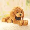 Simulated Poodle Doll Plush Toy Teddy Doll Doll Girls Children's Birthday Gift