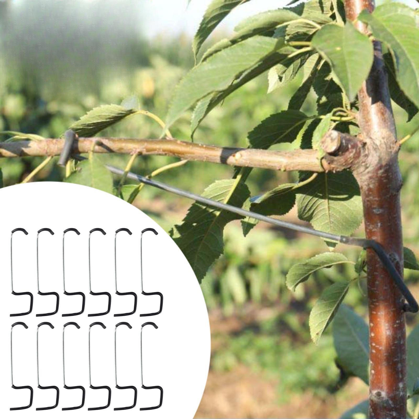 

Инструмент для отгибания и подтягивания ветвей фруктовых деревьев с 12 крюками, садовые и сельскохозяйственные инструменты, универсальный распор 18 cm