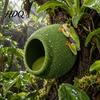 Wall Mounted Reptile Hole 3D Printed Egg Shaped Hideout Cave Suction Cup Terrarium Shelter Hanging Snake Burrow Nest Habitat Decor for Leopard