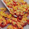 13mm Gold Seashell Sequins for Mermaid Eye Makeup & DIY